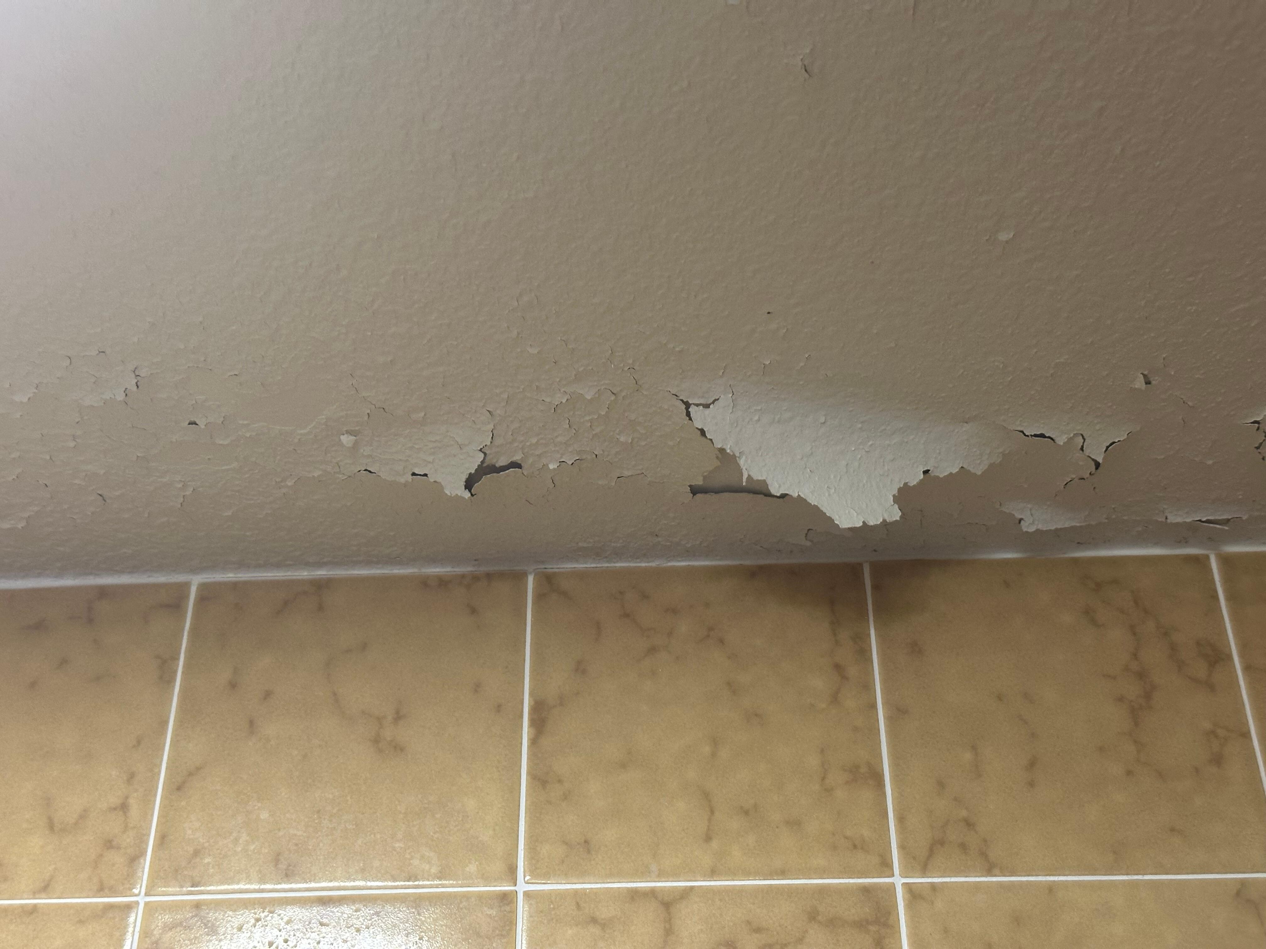 Peeling paint in shower because fan doesn’t work.