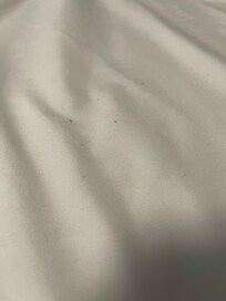 Dirty sheets