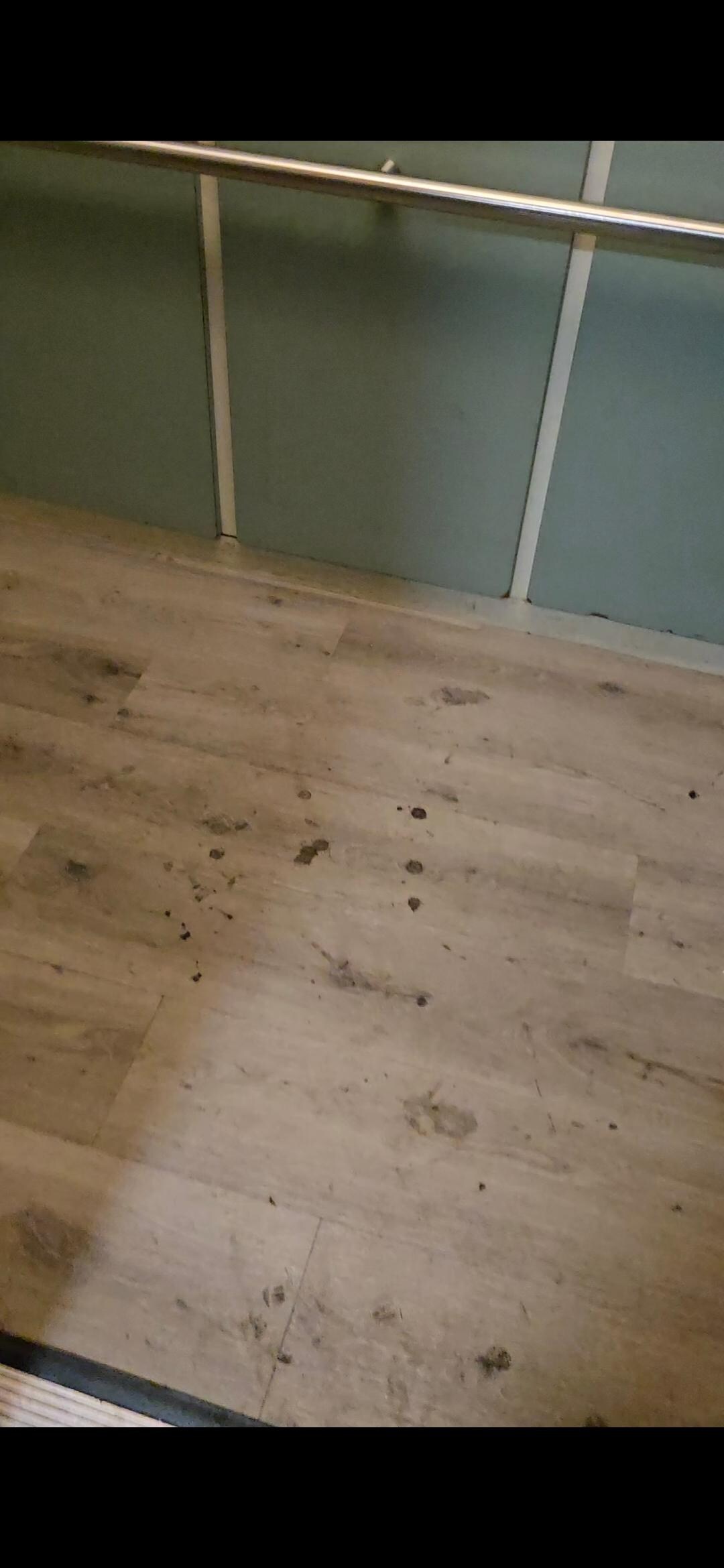 Dirty elevator floor. It was this way for 3 days