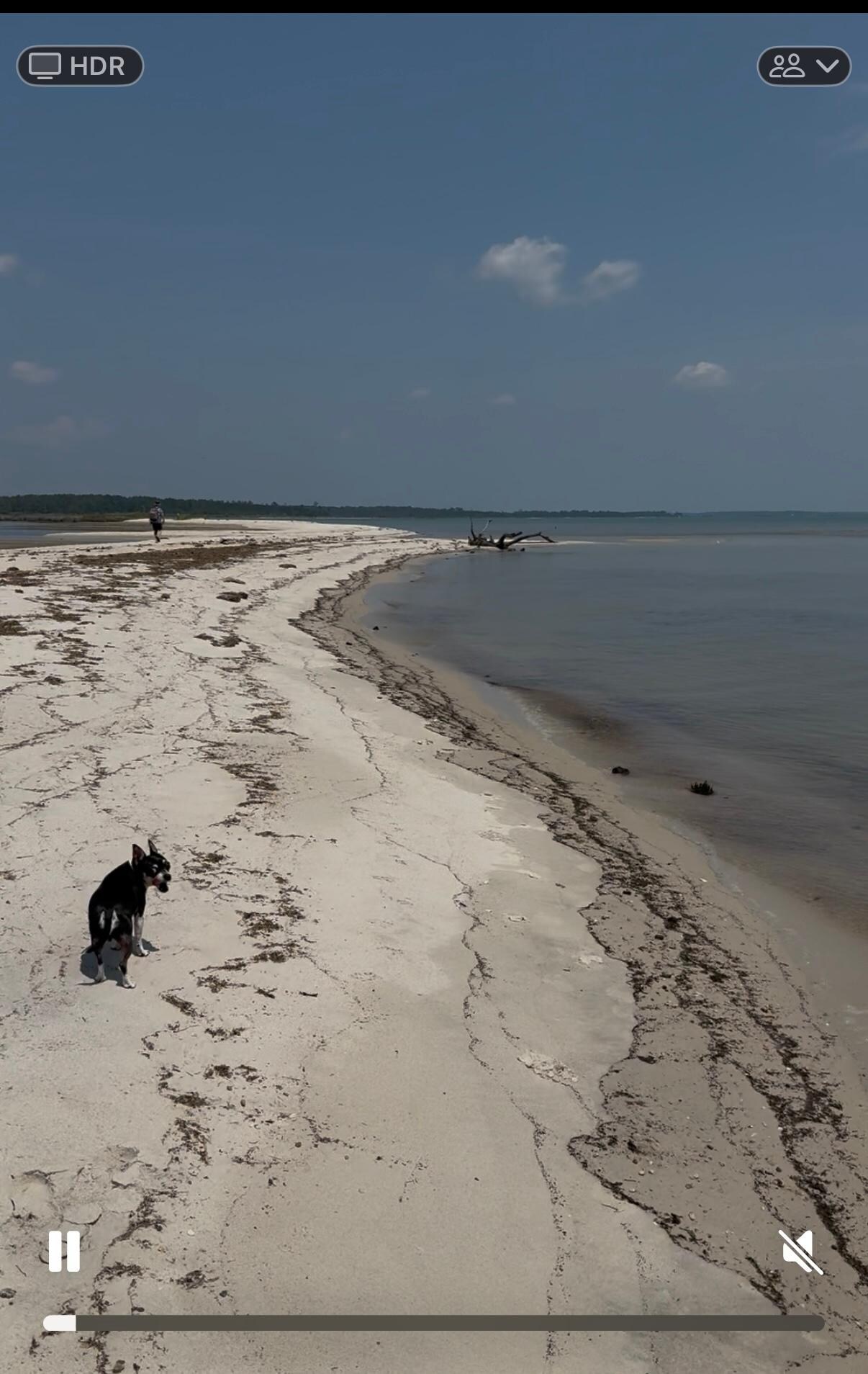 Shore trail at Hughlett point 