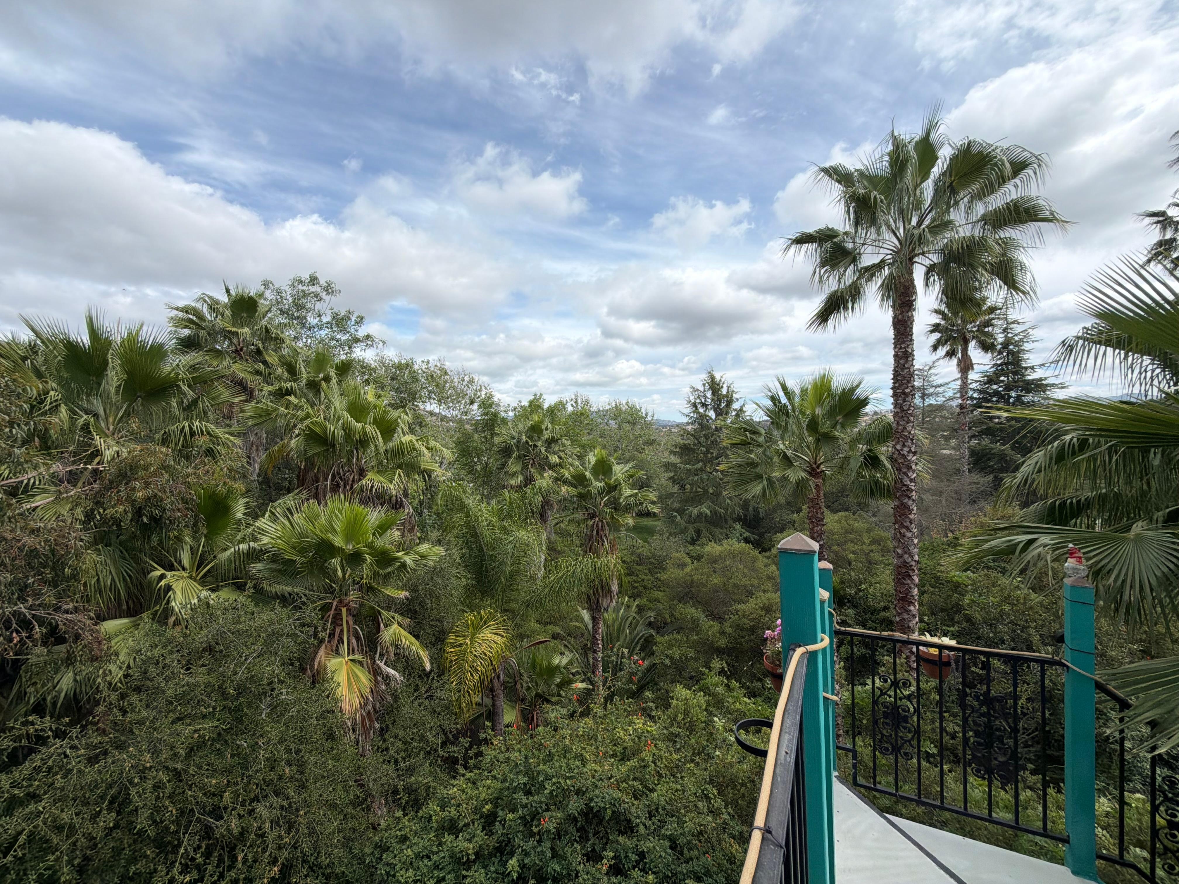 View from the rooftop lounge