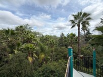 View from the rooftop lounge