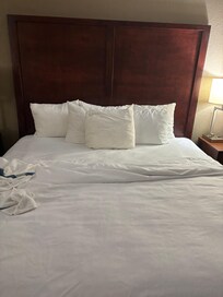 My reservations were for a king size suite with a king size bed. What they gave me was what they had available, which was a suite with a queen size bed. It was insinuated by the front desk that I didn’t know the difference between a king & queen bed!