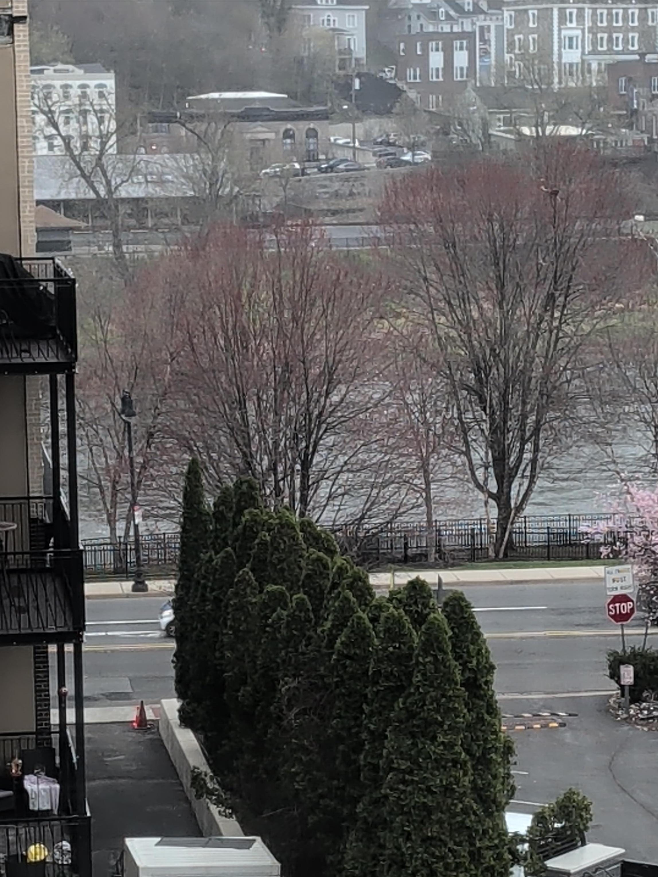 Delaware River, the view from our room 