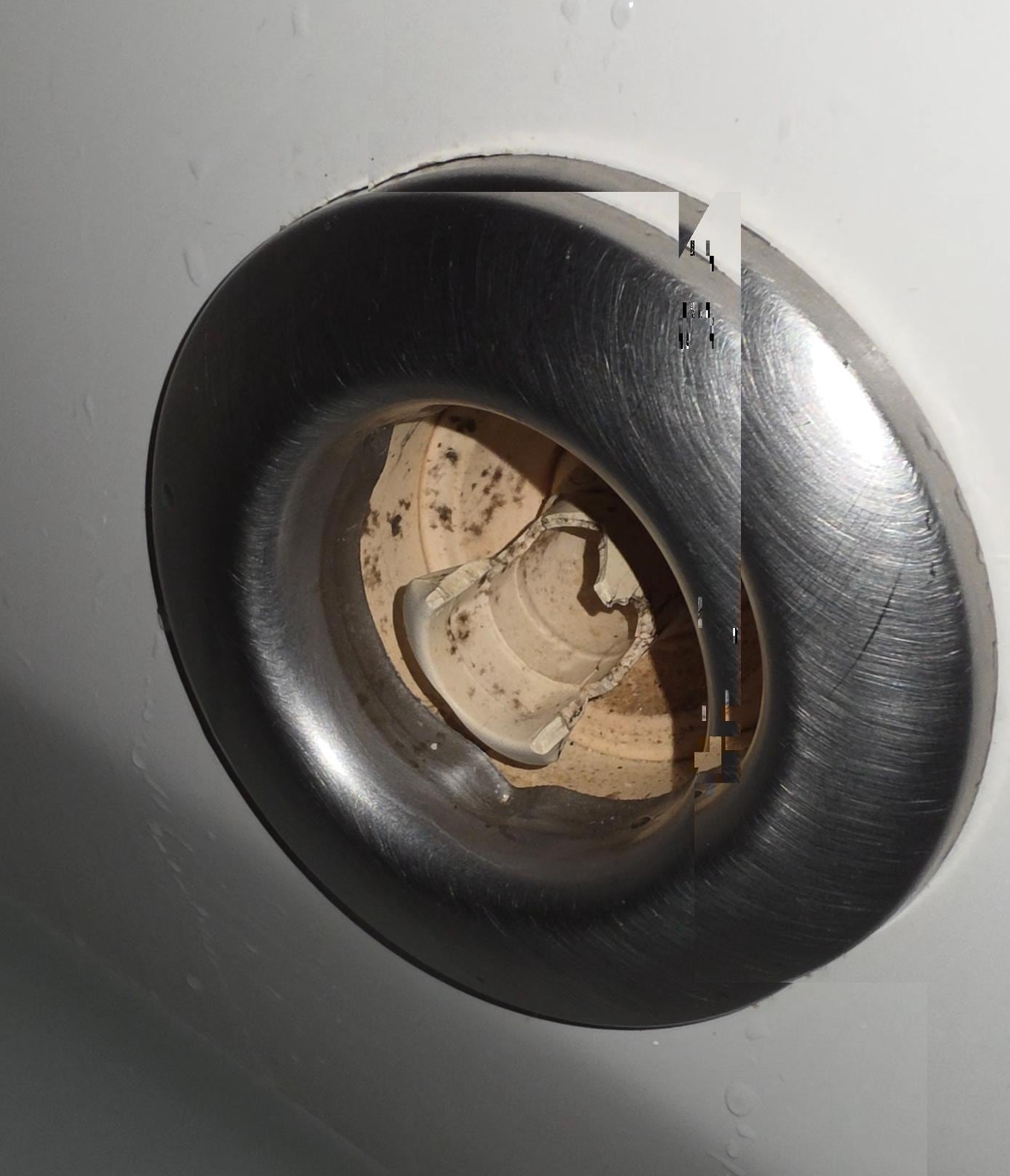 Mold in the jets of our room's whirlpool