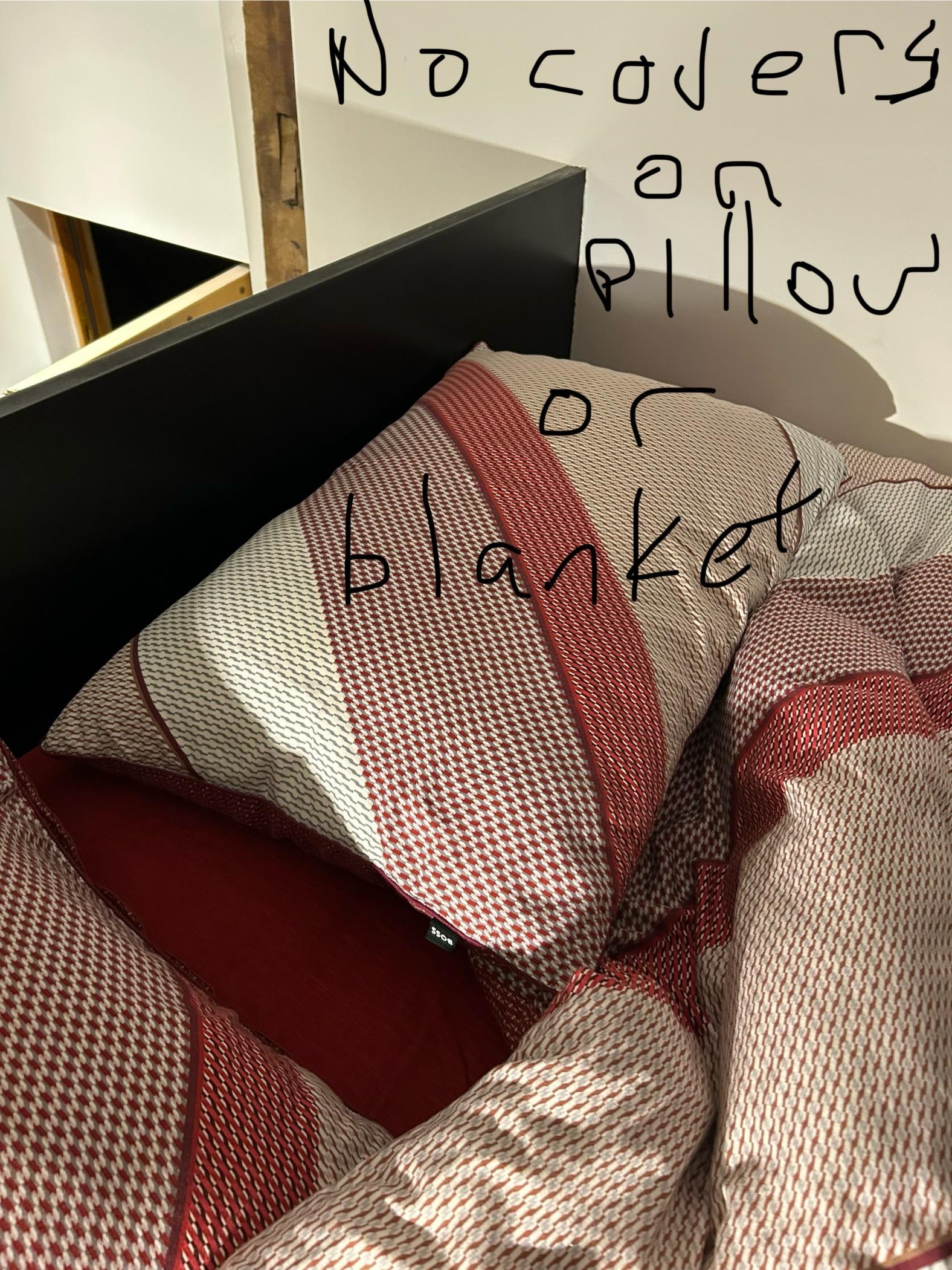 No pillow cases on what should be throw pillows