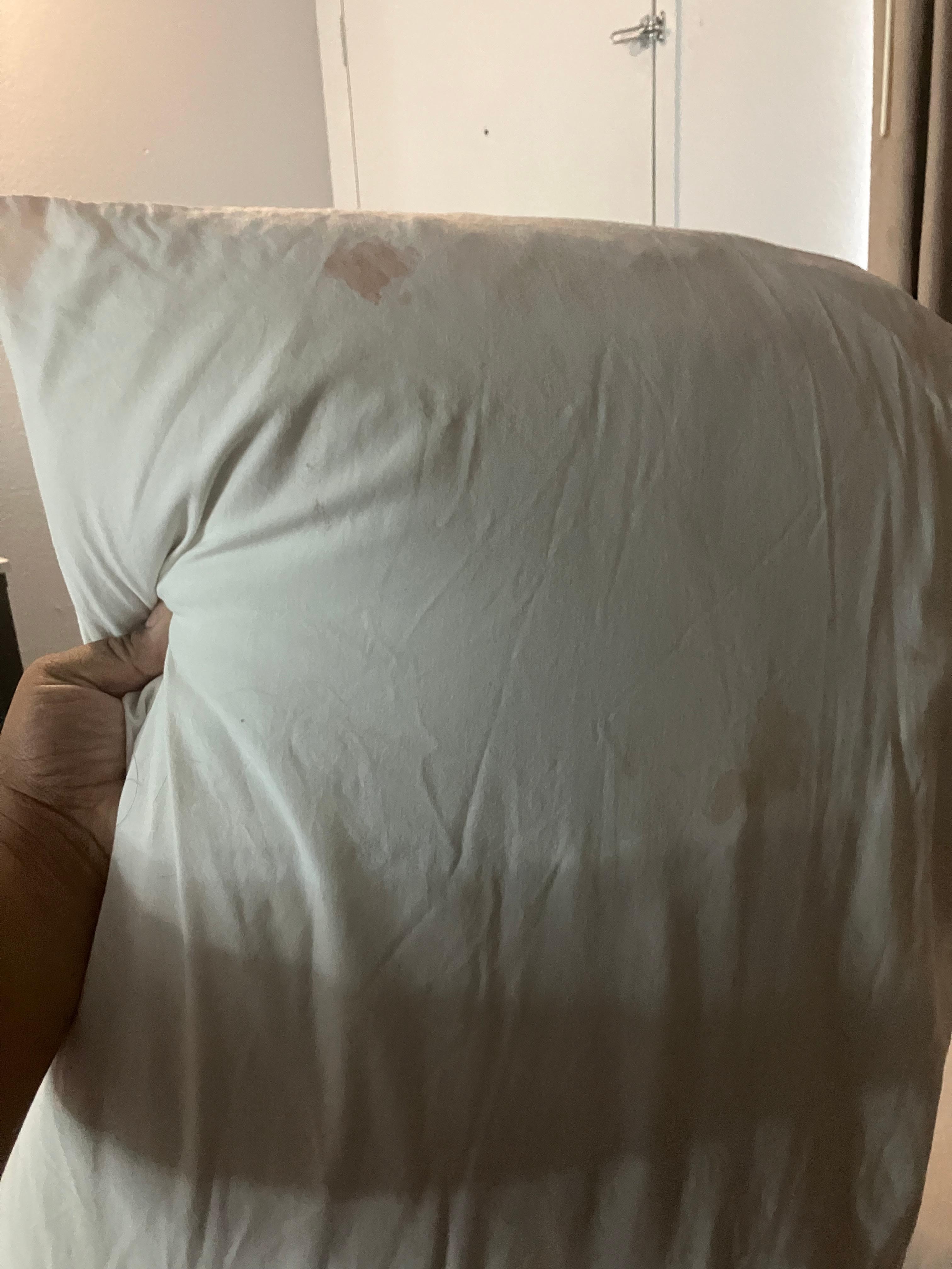 Blood stains everywhere yuck! 