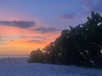 Sunset and sea grapes