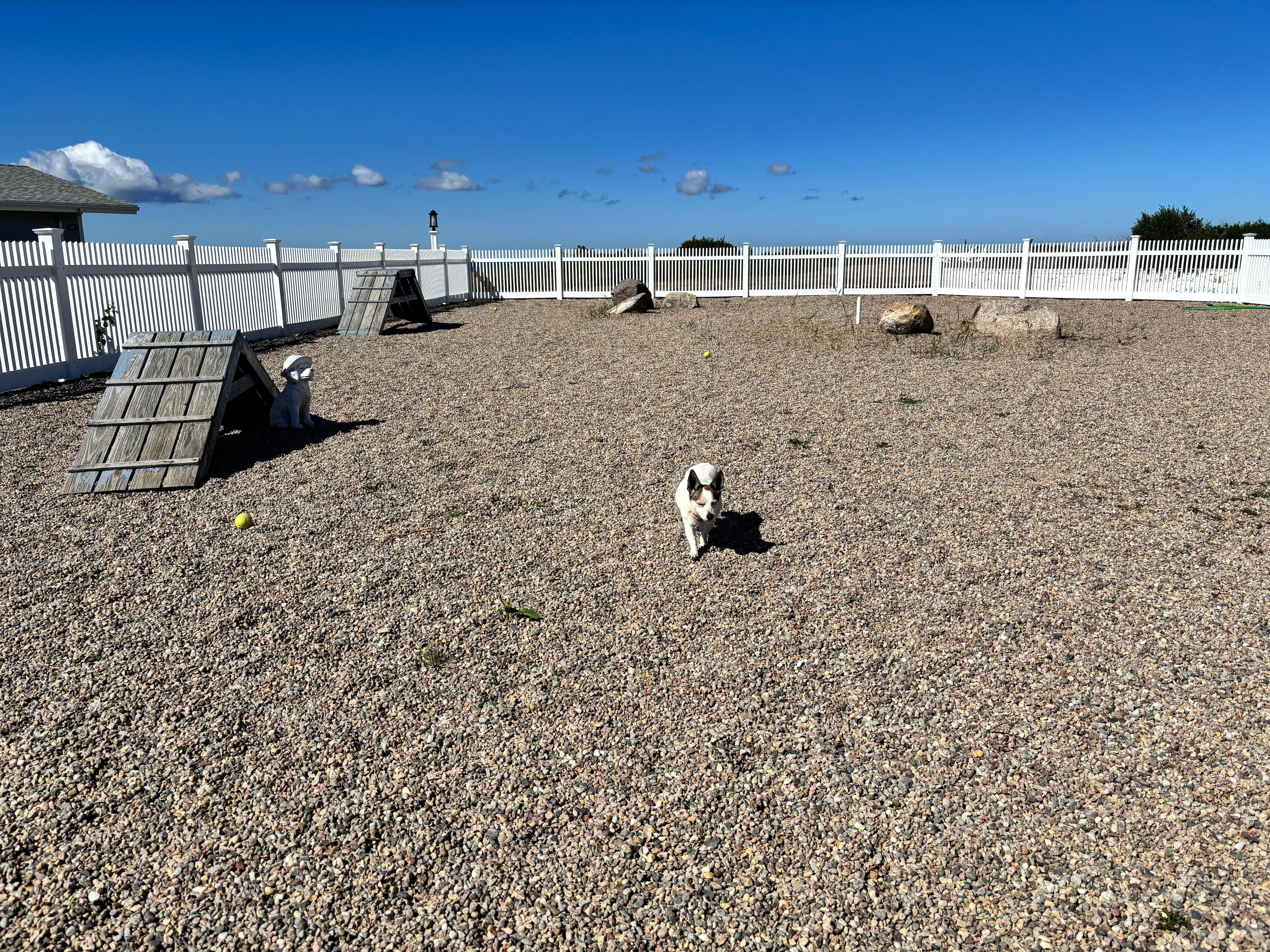 Fenced dog area to play