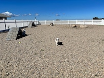 Fenced dog area to play