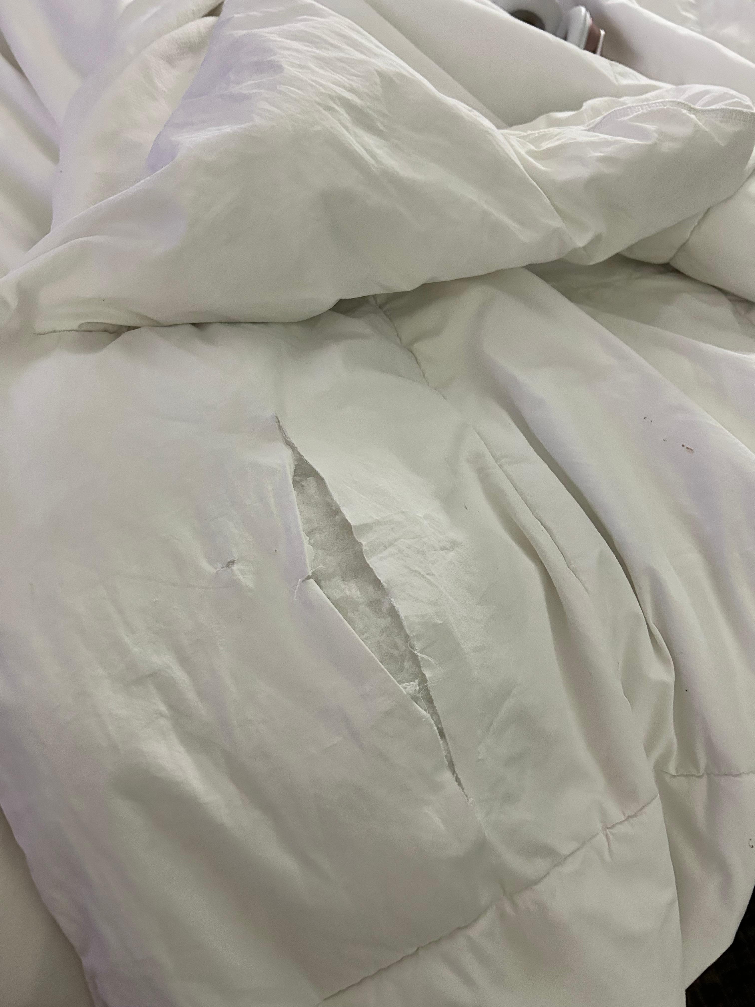 Bedding tore