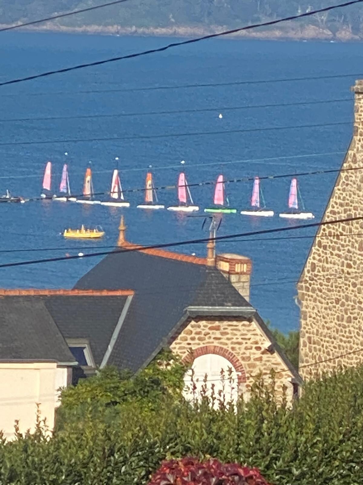 sailing boats unfurled their sails like flowers opening