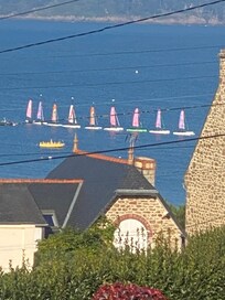 sailing boats unfurled their sails like flowers opening