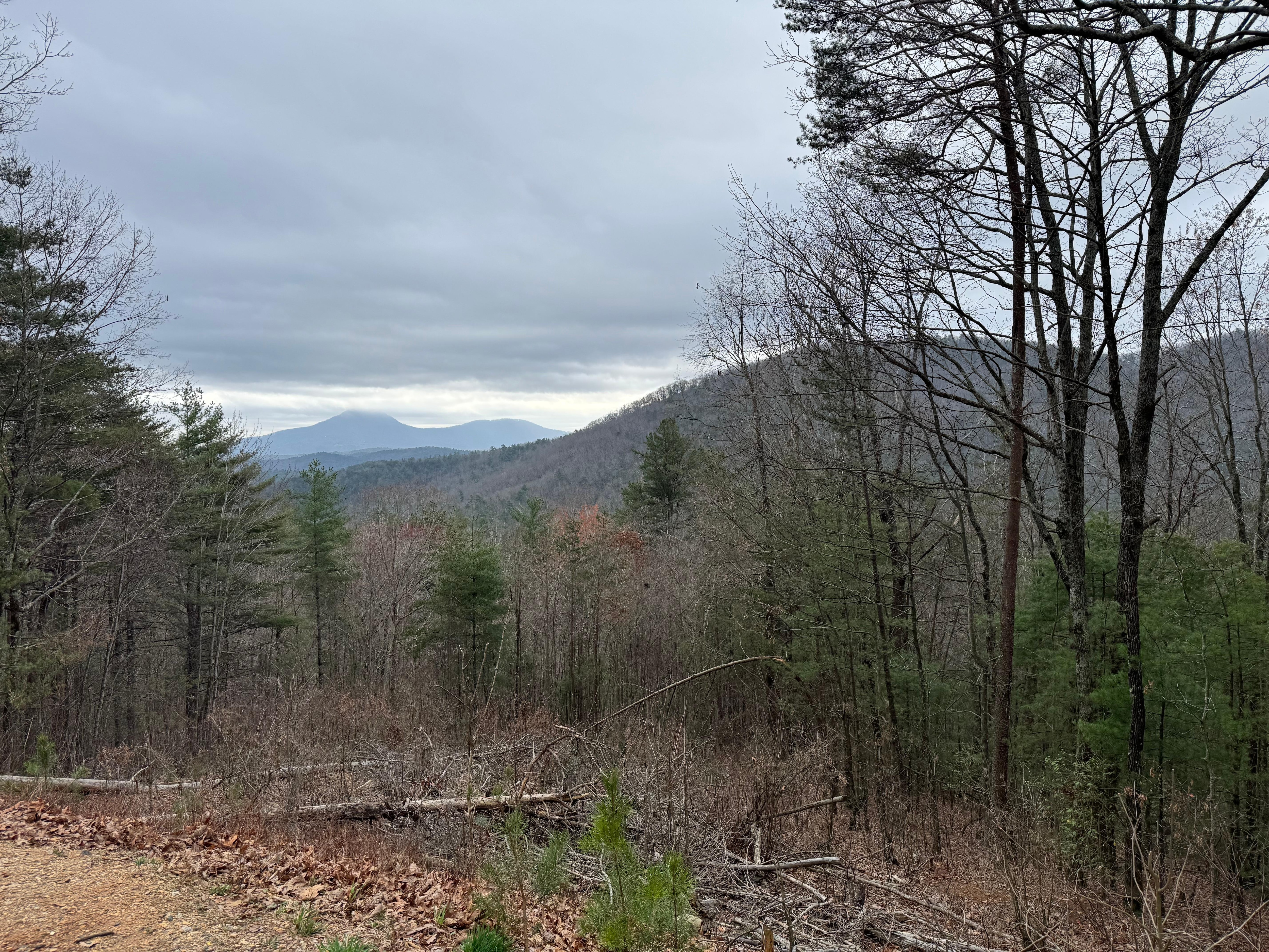 View from the back. Perfect place to relax into the evening. 