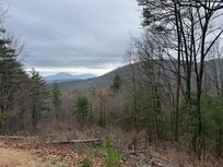 View from the back. Perfect place to relax into the evening.