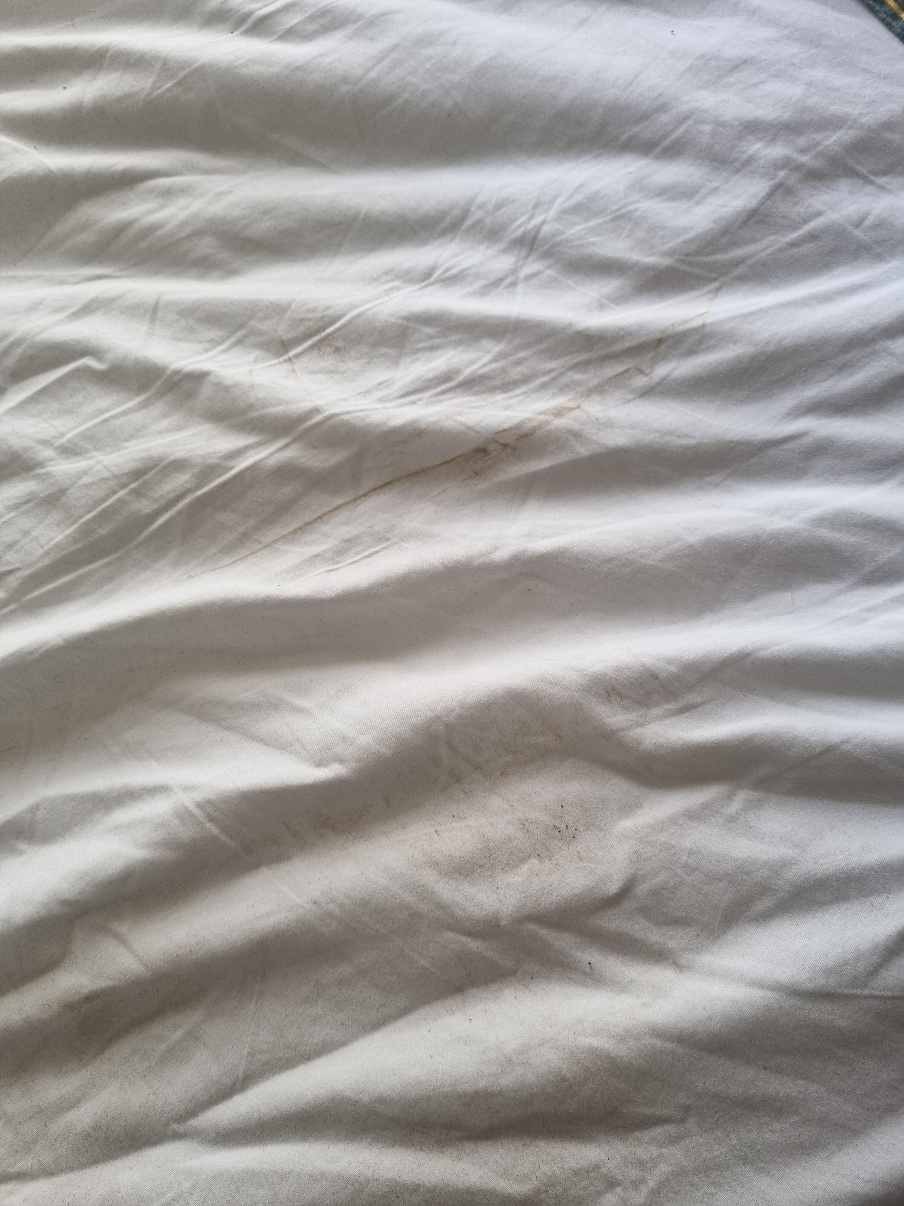 Dirt on the bed cover