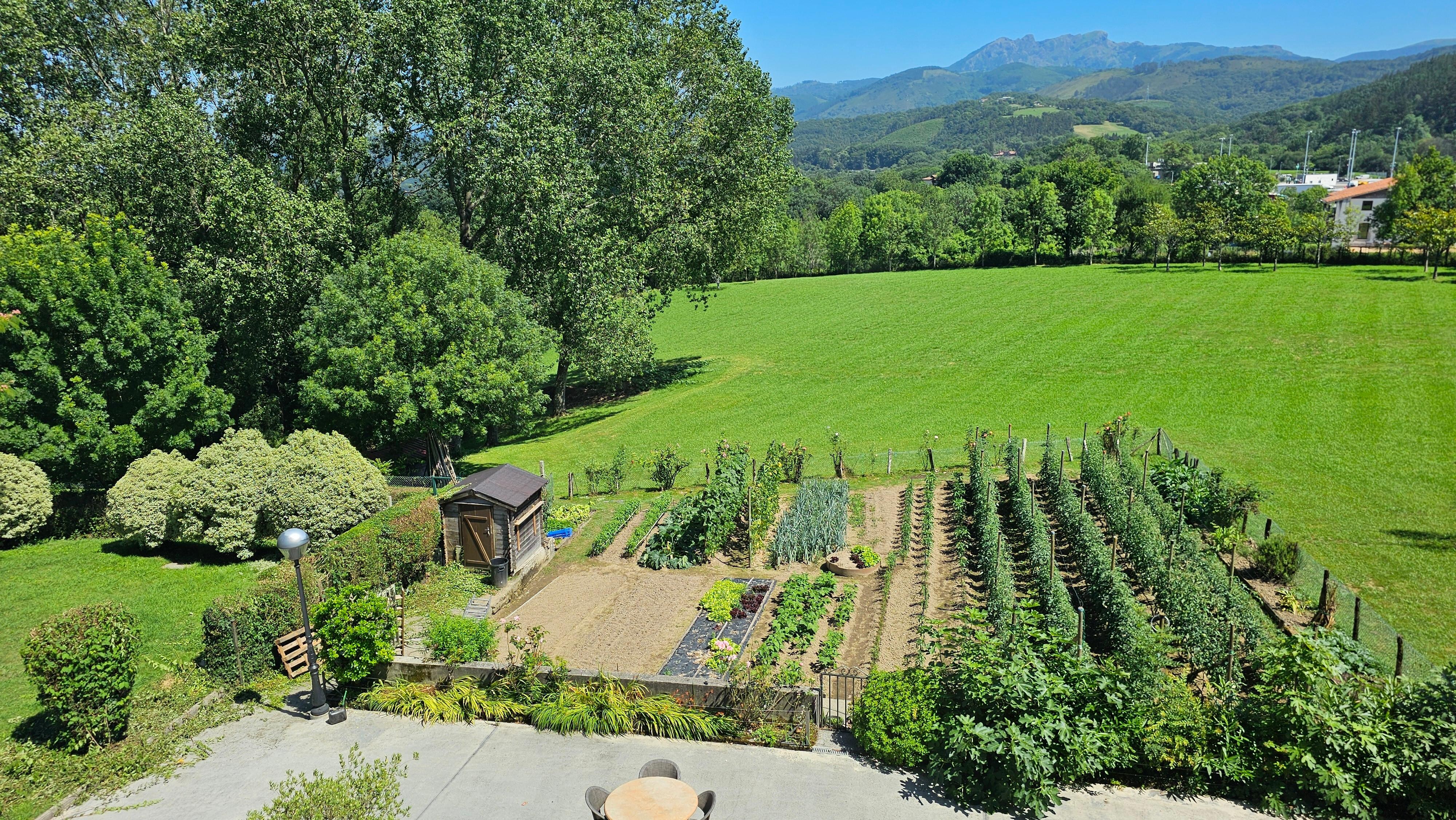 Potager de l'établissement 