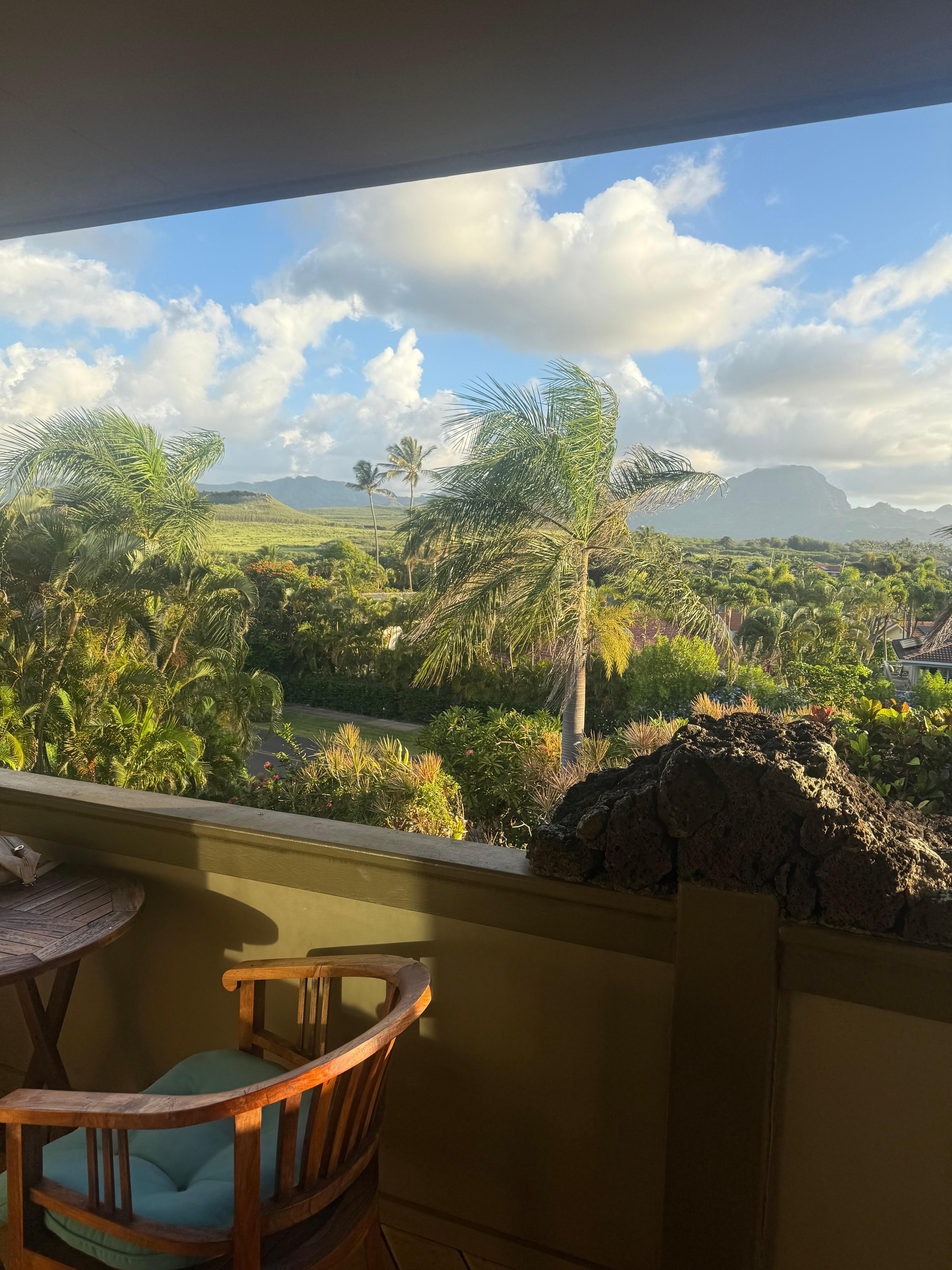 Morning view ever day 