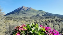 View from the back deck.