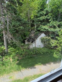 Decrepit sheds, one of many, where the skunks lived!