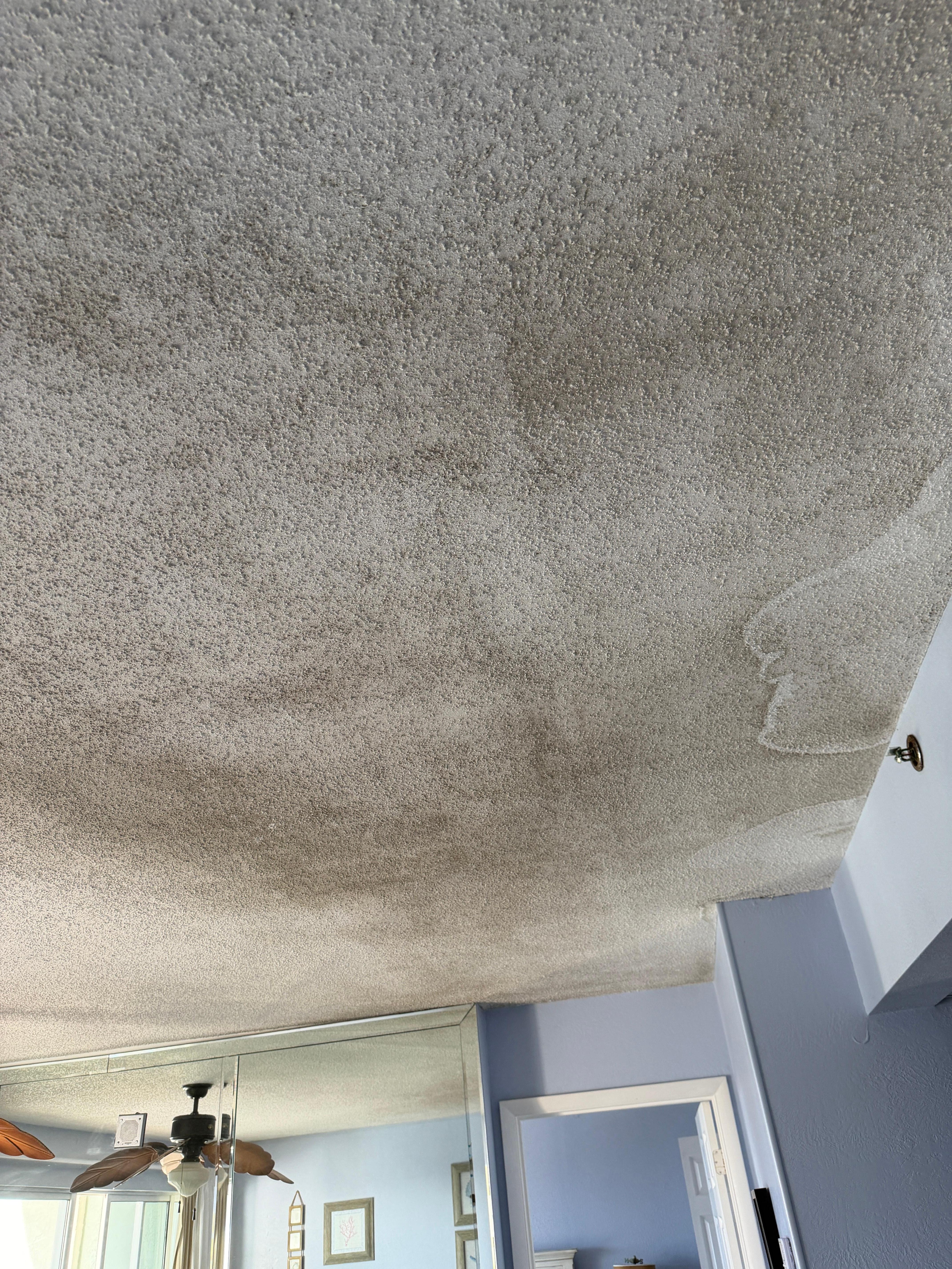Ceilings in both rooms appear to have mildew.  