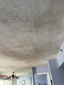 Ceilings in both rooms appear to have mildew.