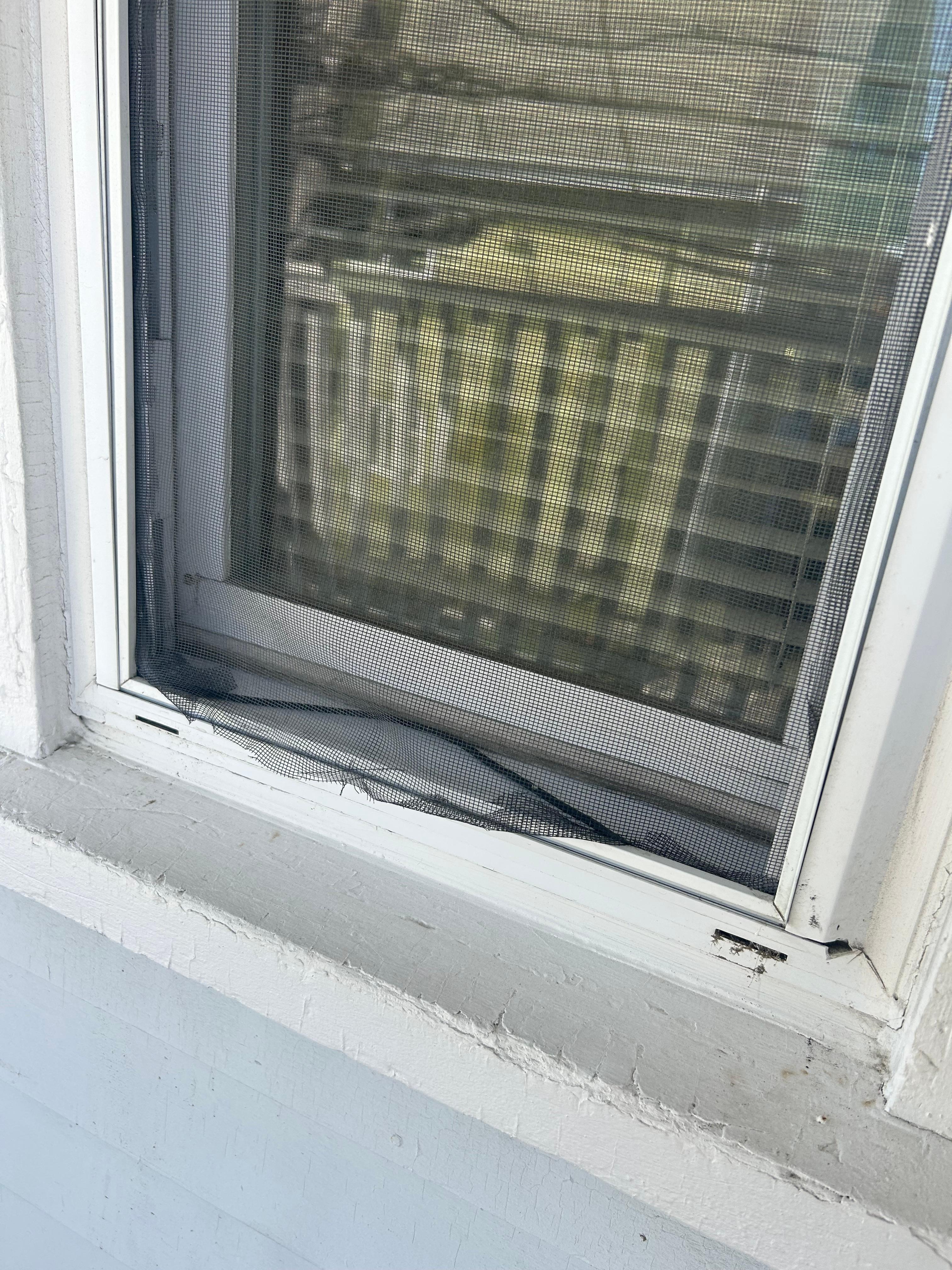 Outside window