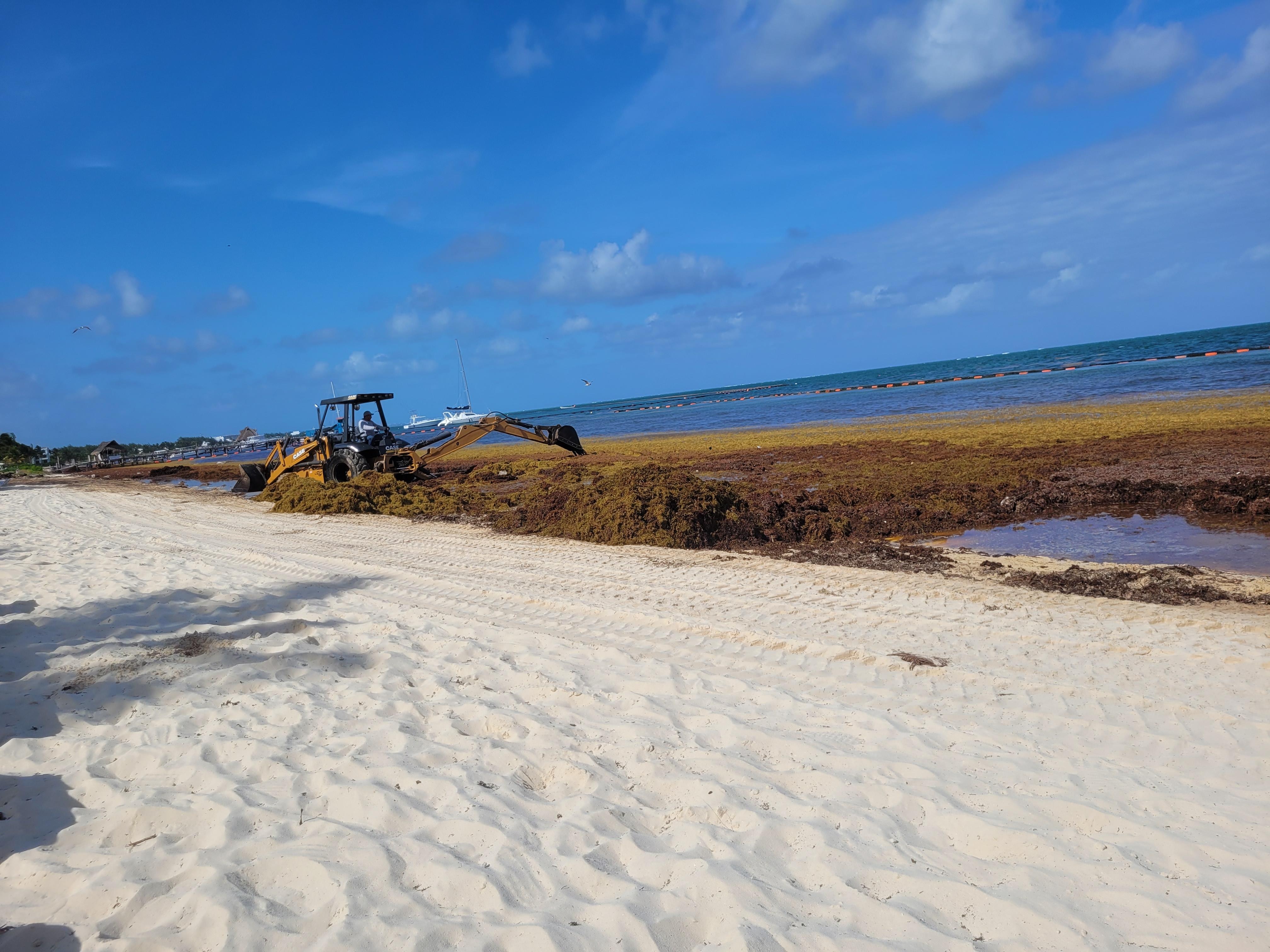 The beach is an extreme let down and not the resorts fault, the seaweed smell is very strong and not nice