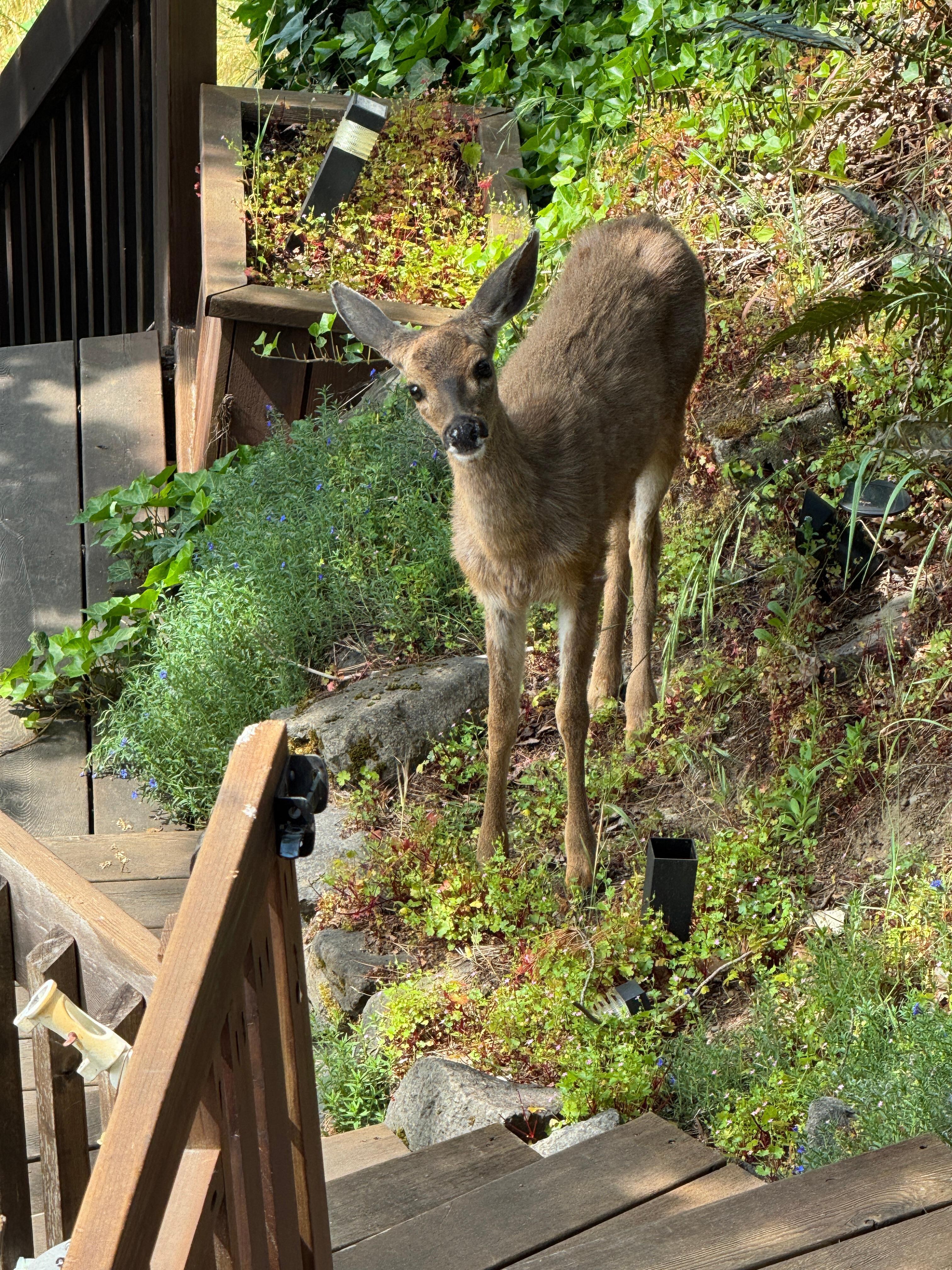 New friends.