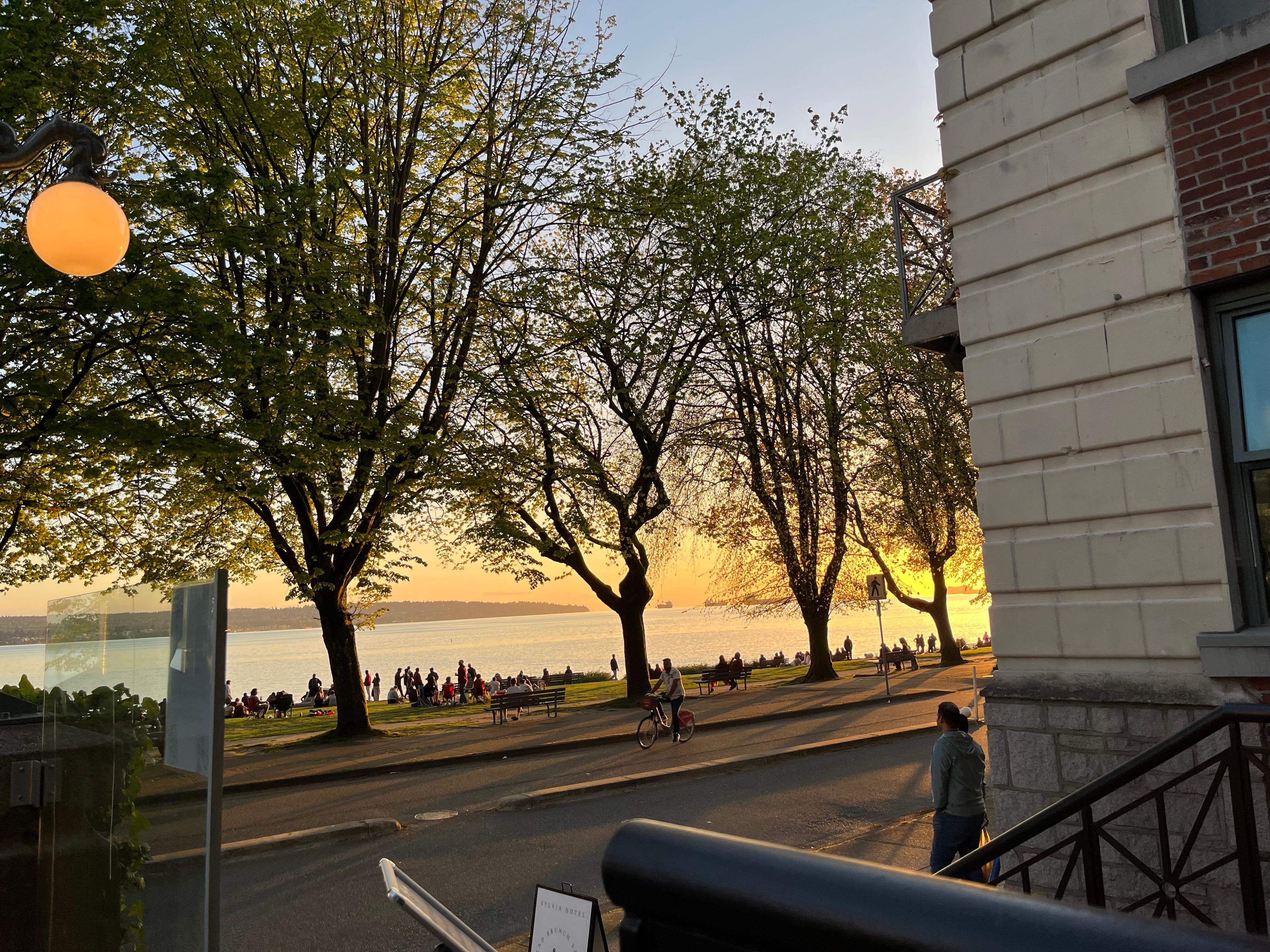 View from the patio