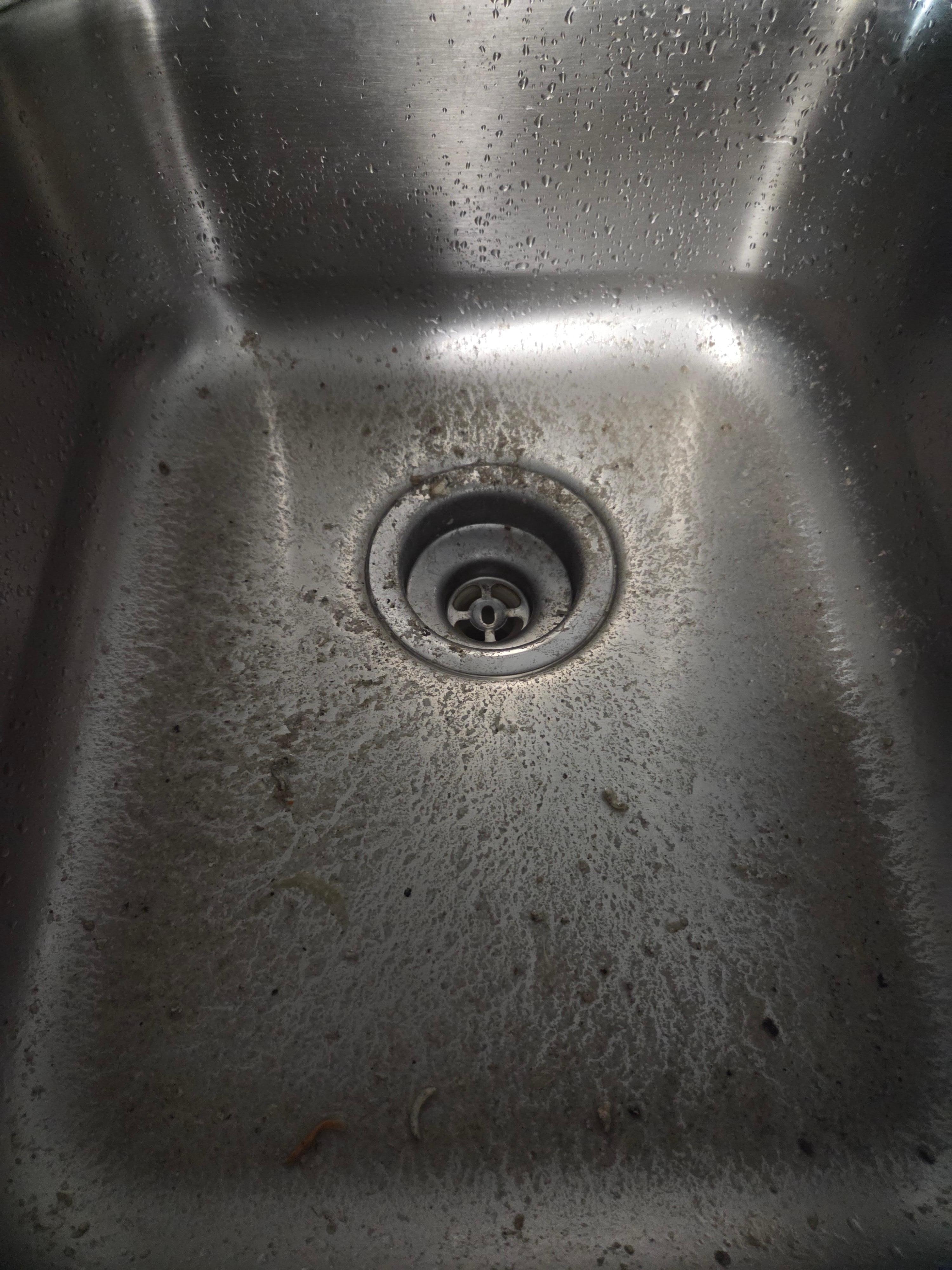 Dirty sink with sewage