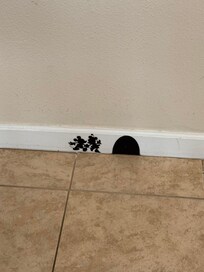 The little details made it the most fun place!