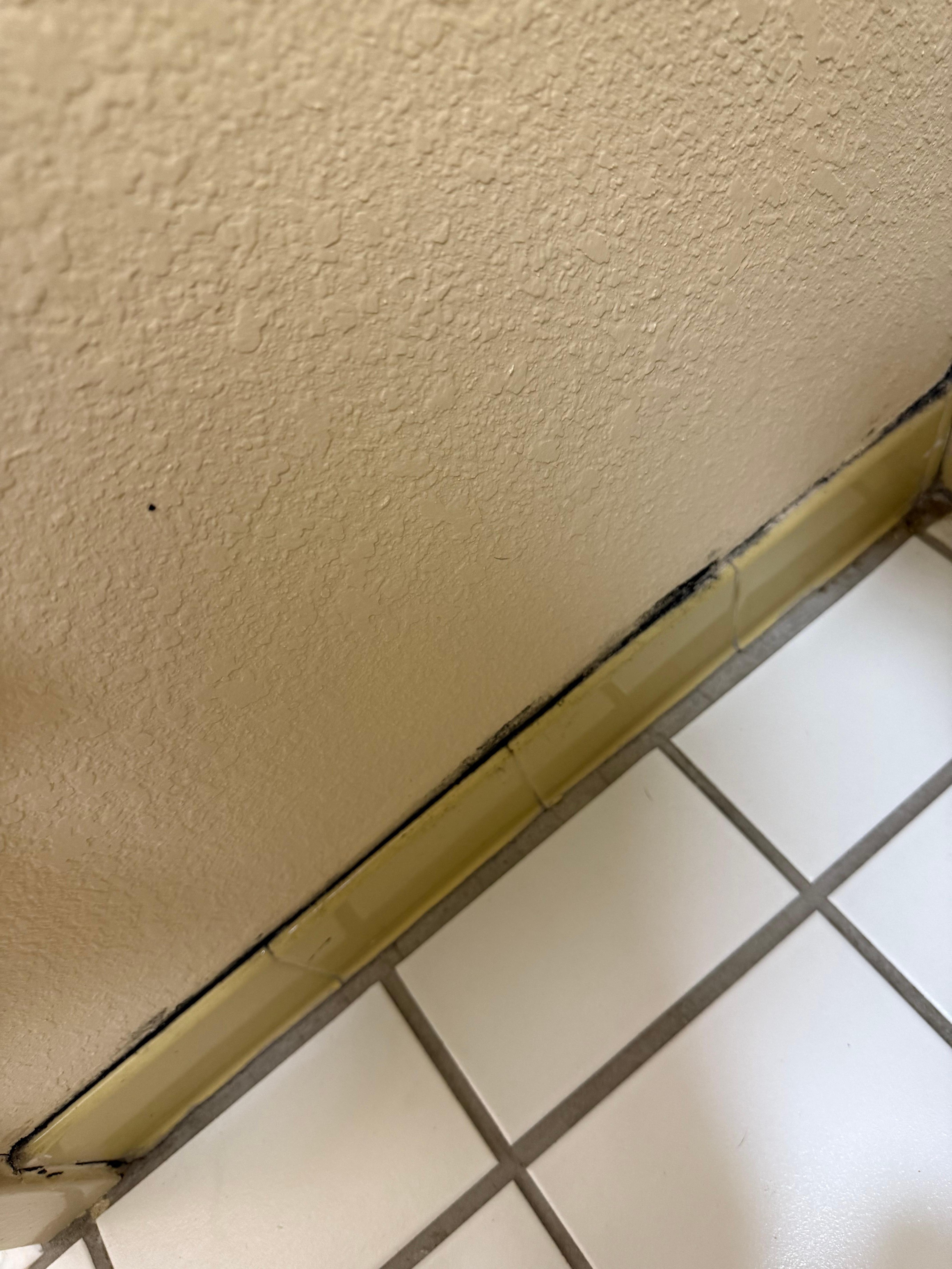 Mold in bathroom 