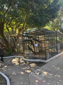 They had peacock, in case in the garden, in the morning they will allowed one to be outside, by the pool so when you are eating breakfast you can watch peacock, they look poor conditions their feathers were very bad