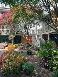 Garden area