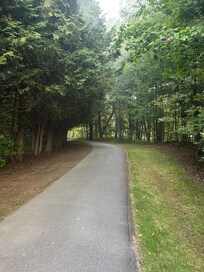 Walk path