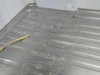 Dead flies on dish drainer
