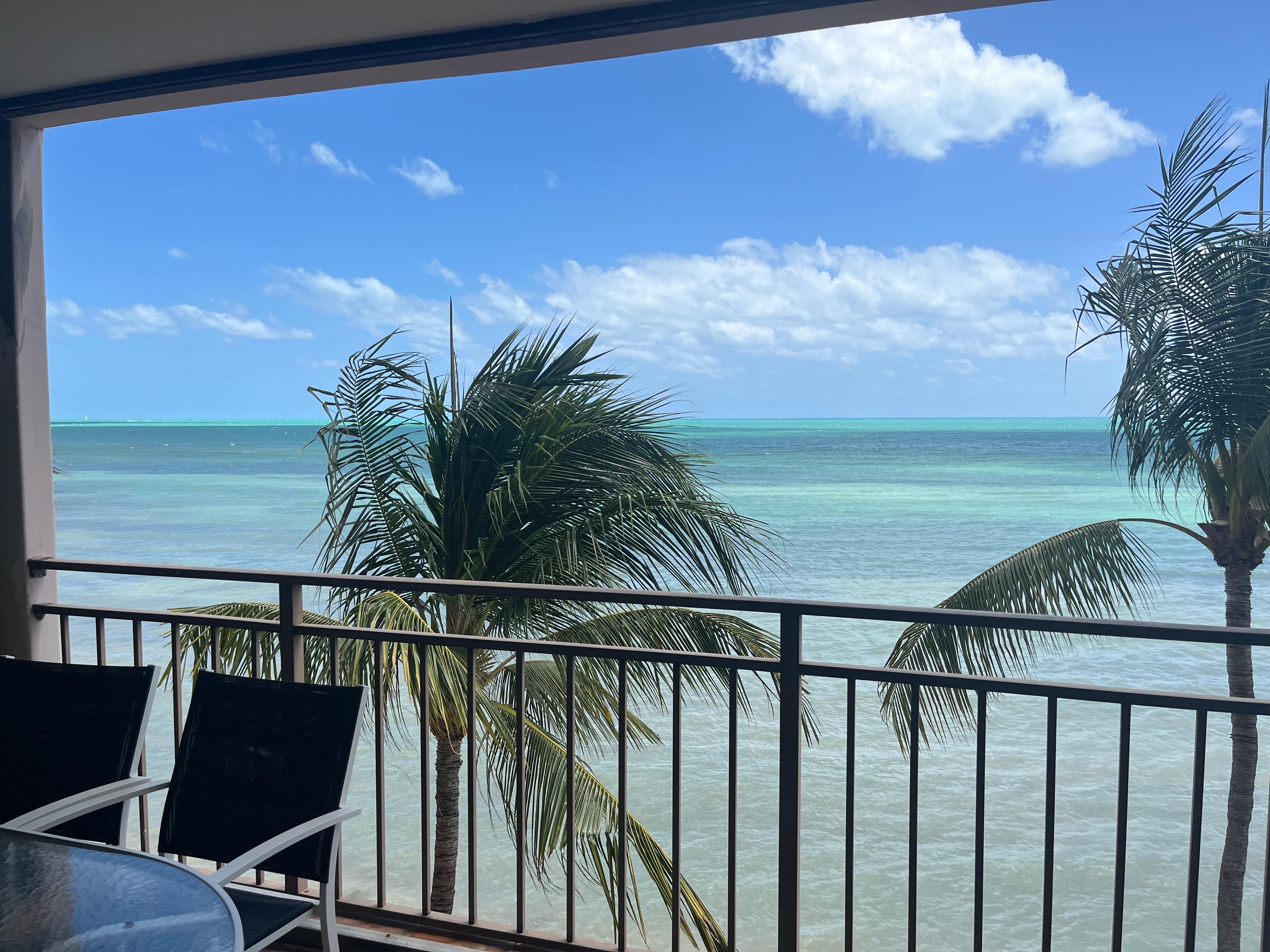 Dining room table and this view !!!