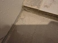 Hair in shower