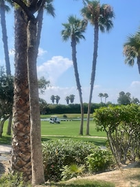 View from the pool overlooking the golf course