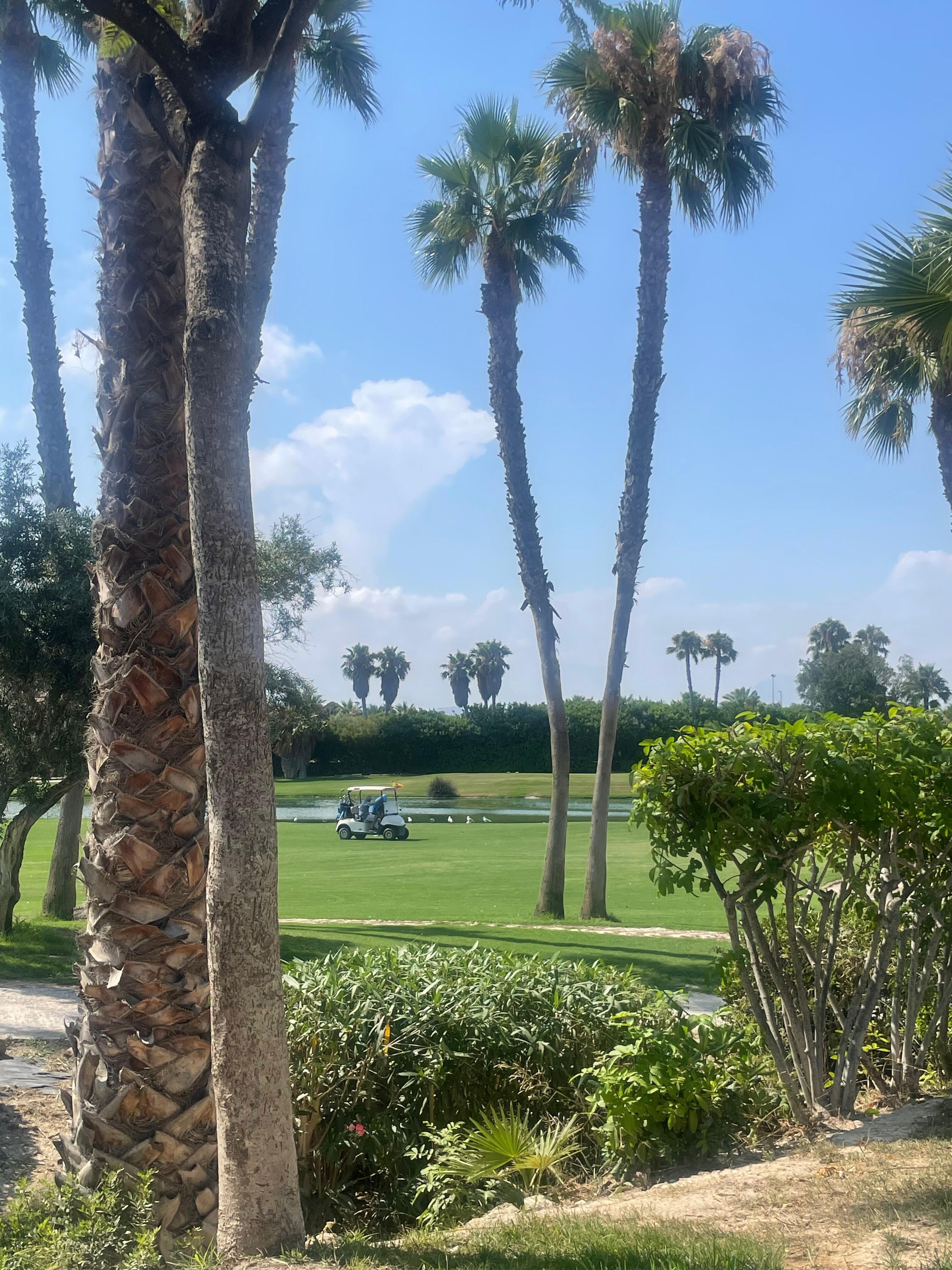 View from the pool overlooking the golf course