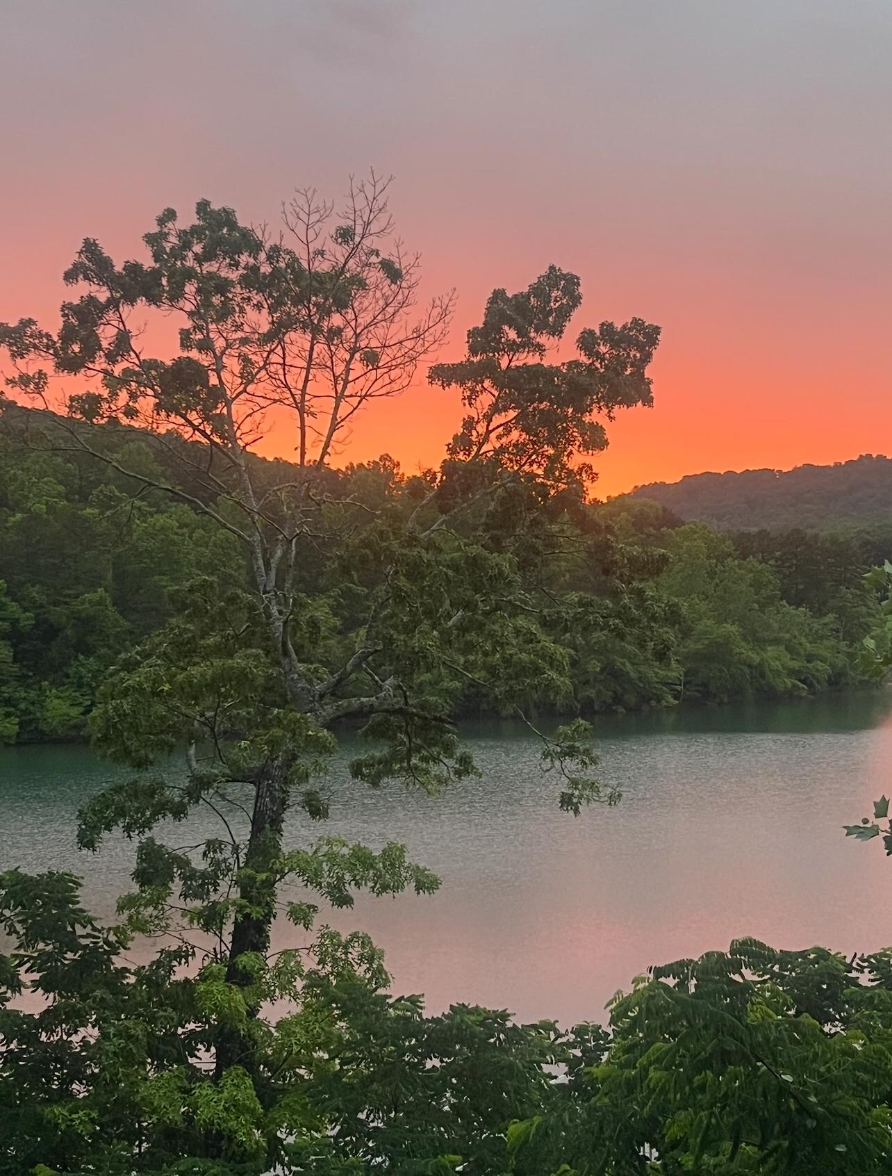 View of the sunset from the back deck.