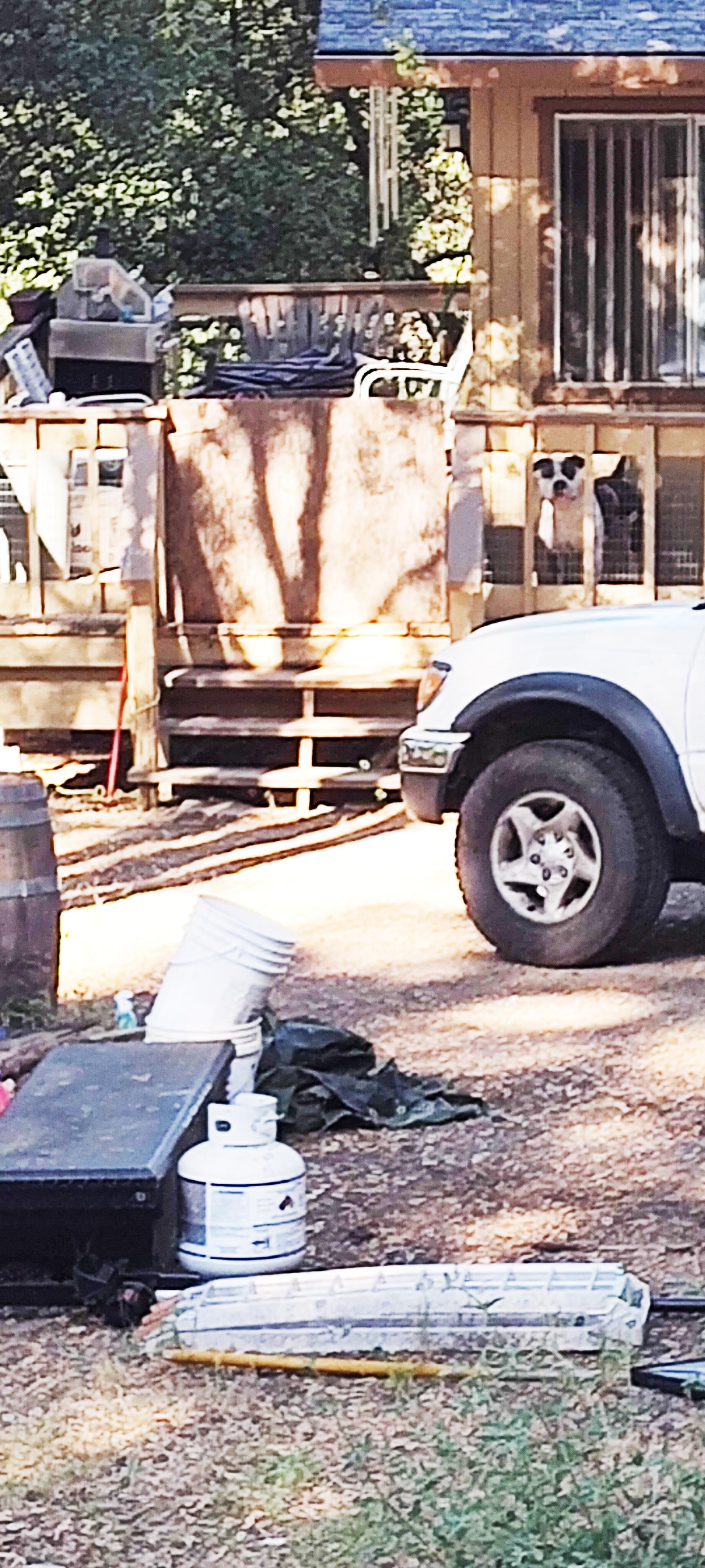 Neighbors trash filled back yard and dog that barks at 630am and anytime you try to use the deck.