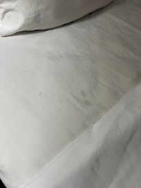 Stained/ dirty bedding