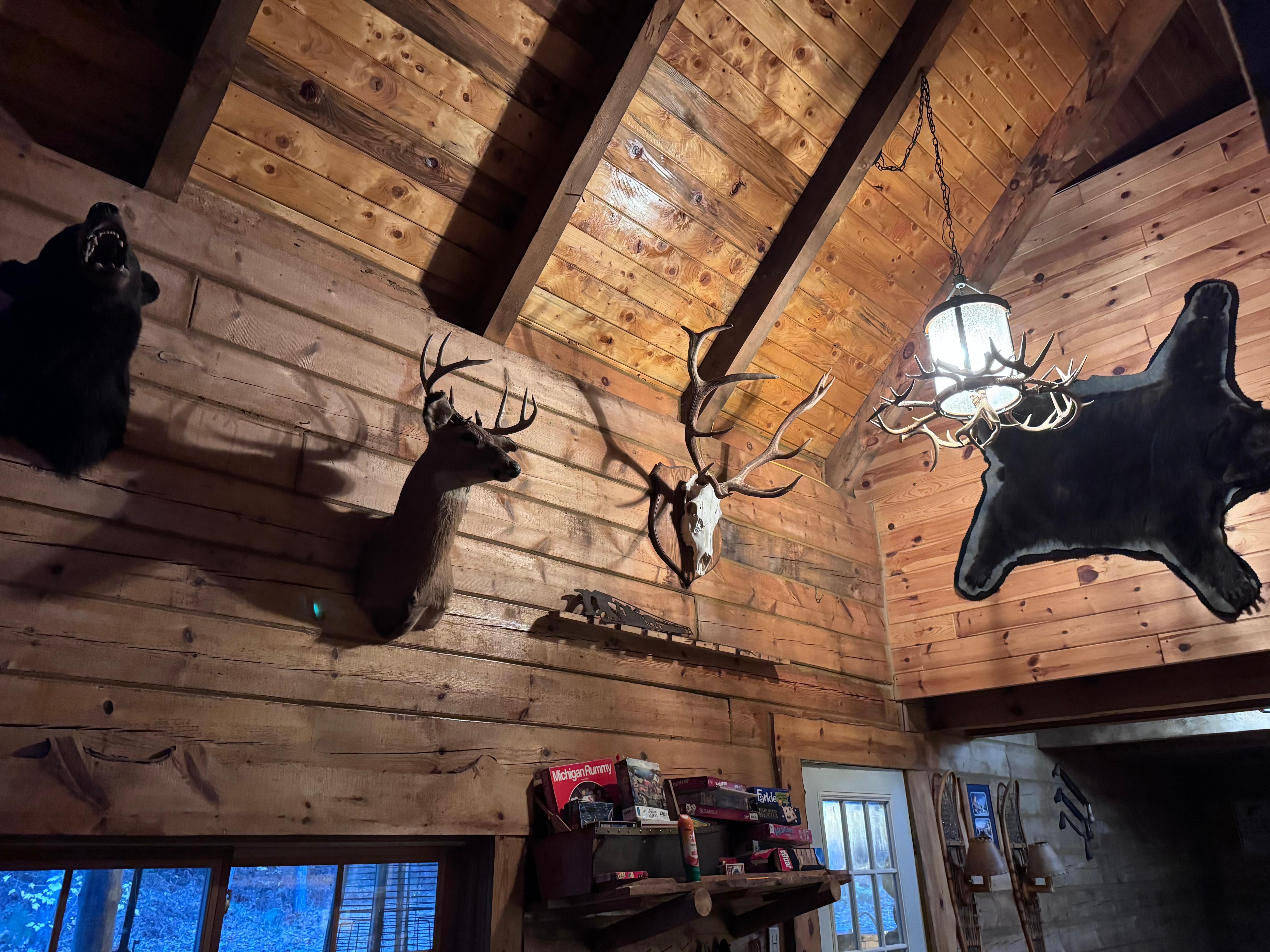 We are a hunting family so we greatly appreciated these on the wall.  