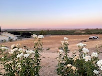 View from the patio
