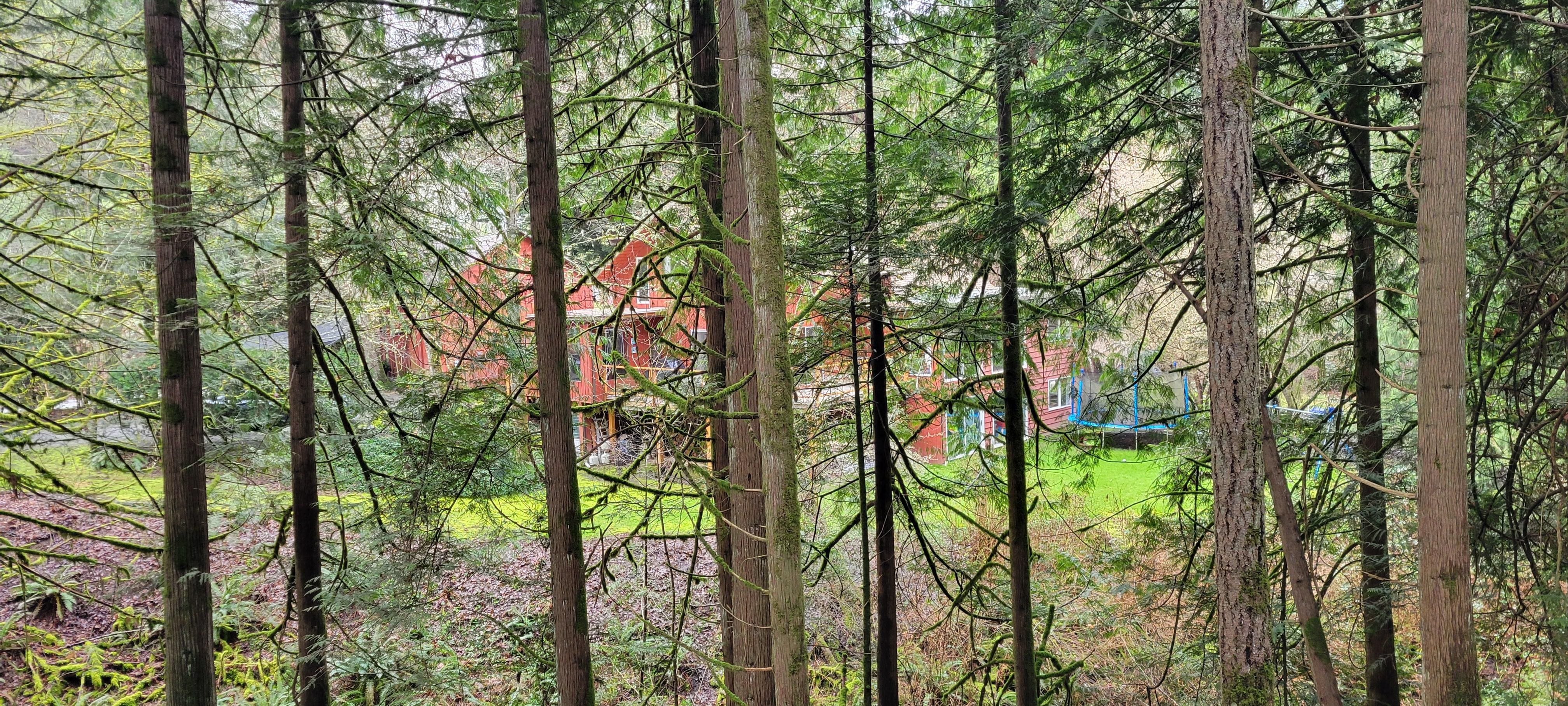 Looking back at the housefrom the hillside behind