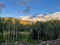 From the back porch!