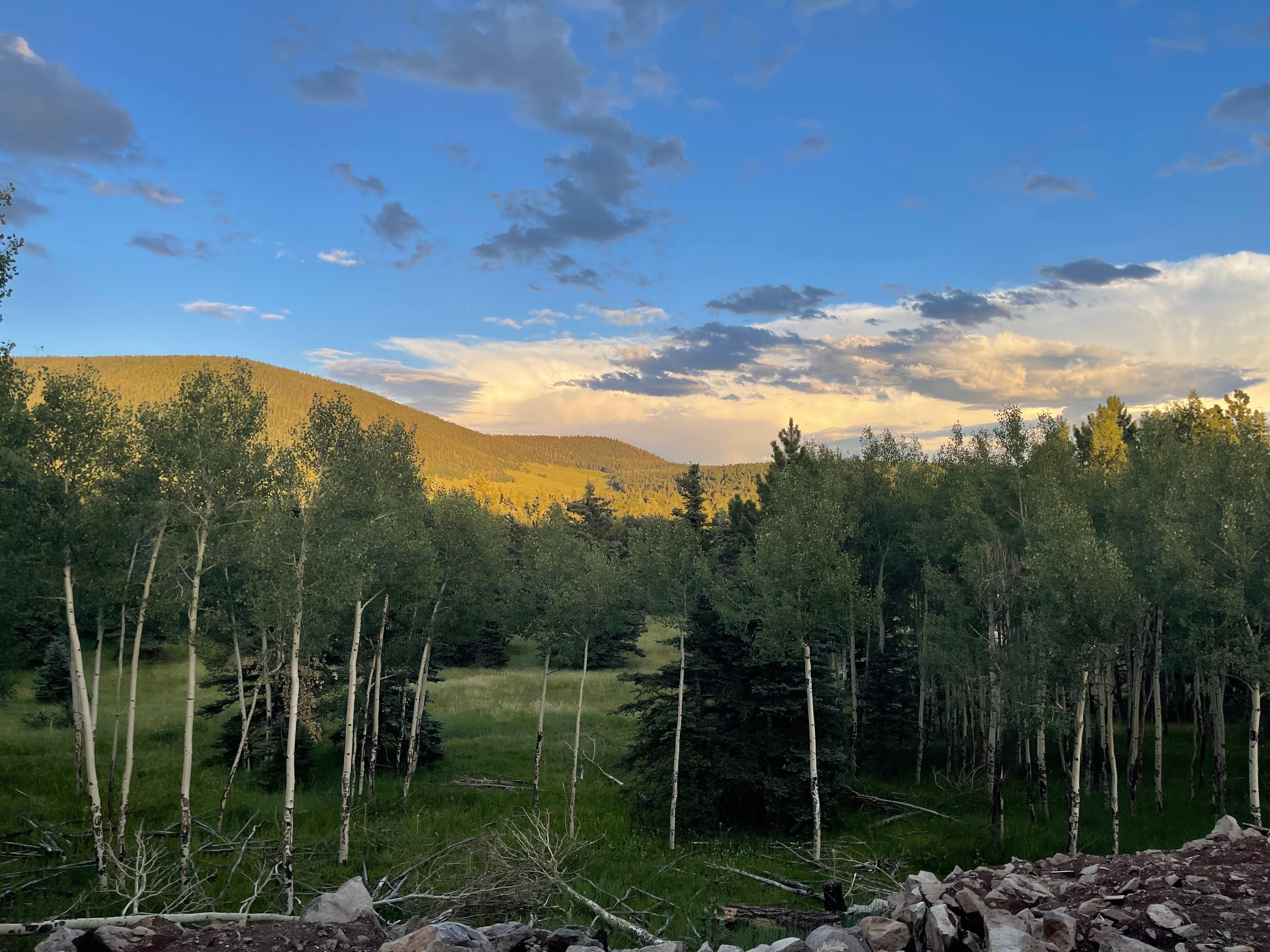 From the back porch!