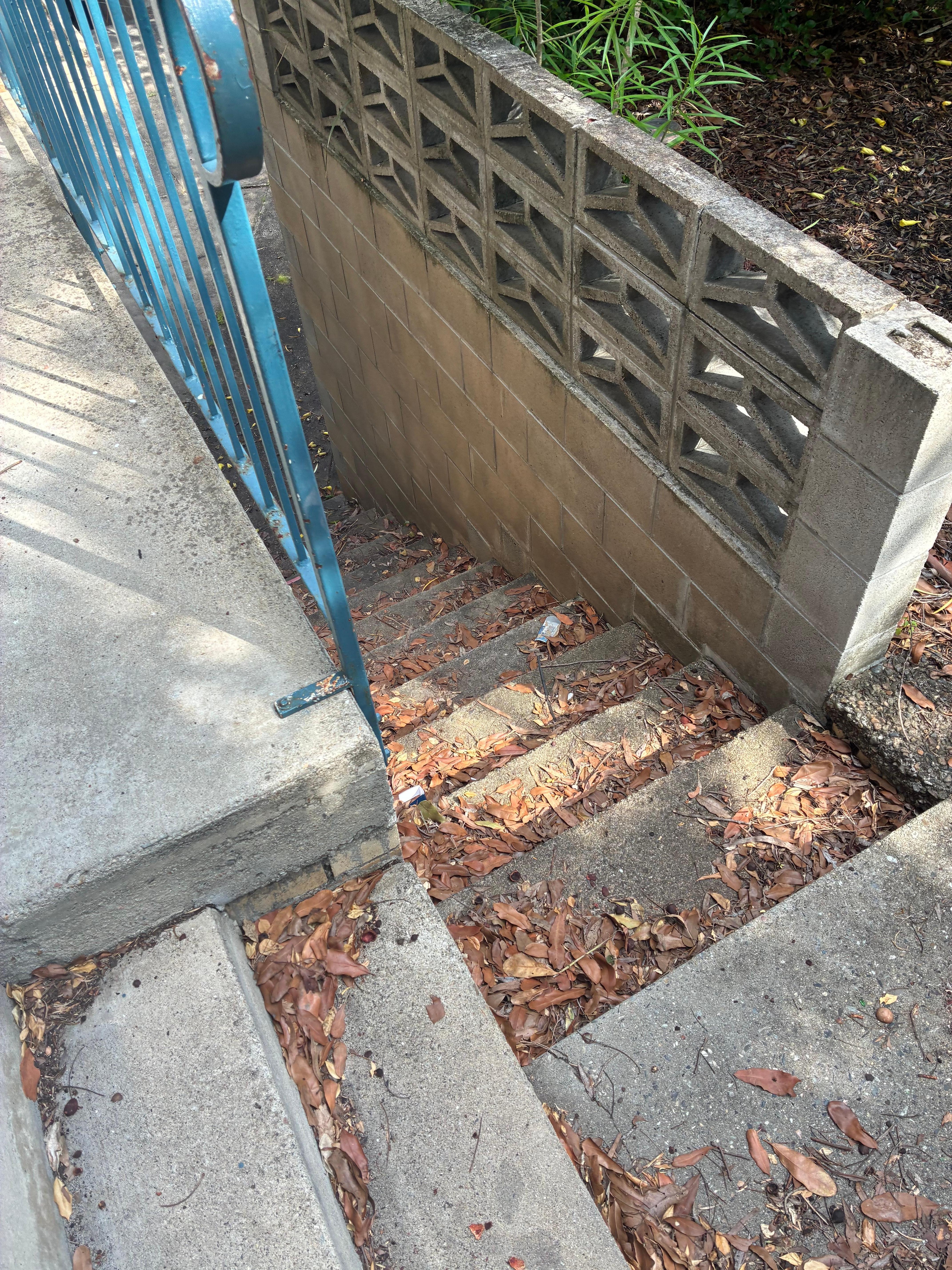 Leaves and rubbish in front of property 